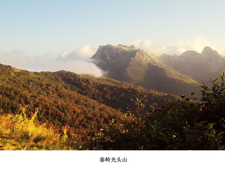 秦岭光头山(8)