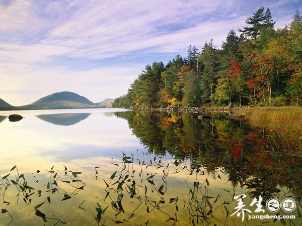 让心灵去旅行 到美国看绝色秋景(7)