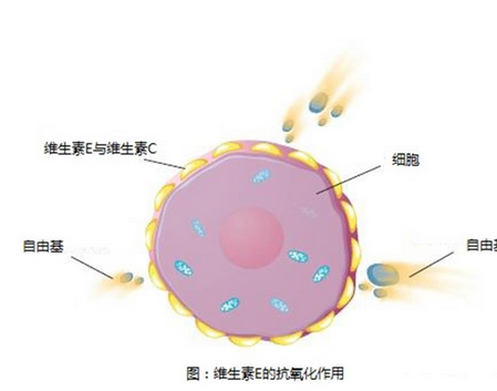 女性晚上吃它可以延缓衰老