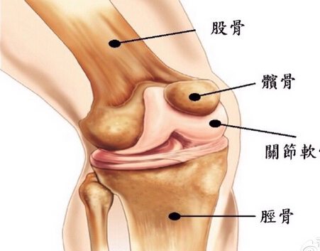 走路时听到骨骼响声是什么原因？