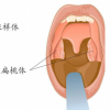 <b>身体器官重要性 身体掏空这些器官还能存活</b>