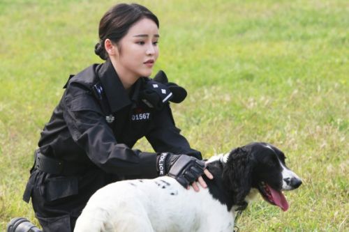 警花与警犬收官 萌妹子与警犬搭档相得益彰