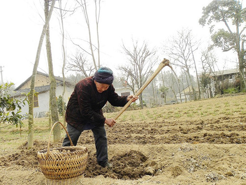 老人必知 5大长寿秘诀