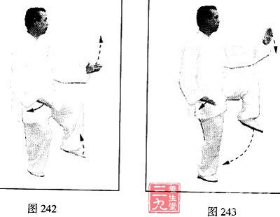 要注意右脚下落变右独立势时，左腿必须同时落胯、屈膝下蹲。