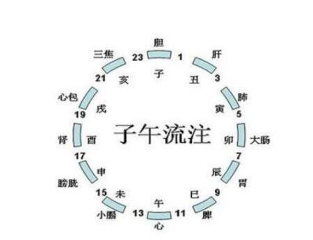 时辰养生法则 中医学里强调人体与自然相通