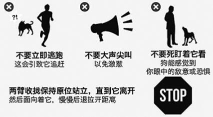 好疼！几个月大的獒犬把主人咬成了“血人”