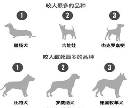 好疼！几个月大的獒犬把主人咬成了“血人”