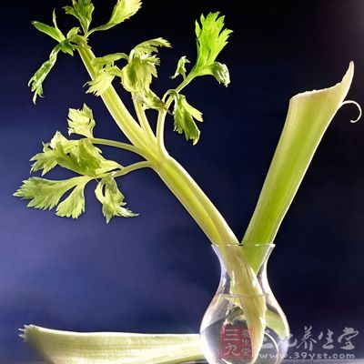 芹菜是高血压患者应该经常食用的利于降压的蔬菜