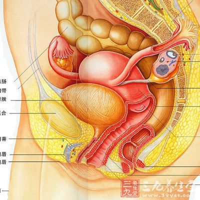 尿贫∶这是因为膀胱受到扩大的子宫的压迫，使得膀胱的容量变小