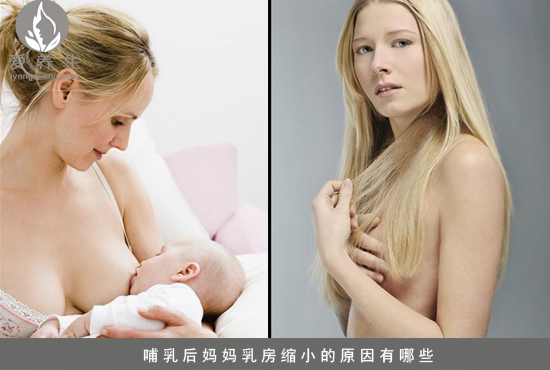 哺乳后妈妈乳房缩小