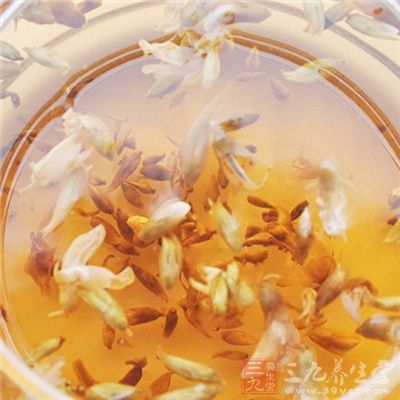 葛根茉莉花茶