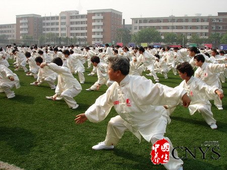 老年保健 常散步打太极身体棒