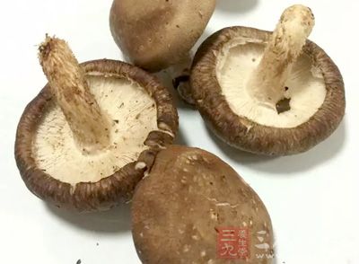 香菇对气血亏虚、不耐劳累等，具有调理作用