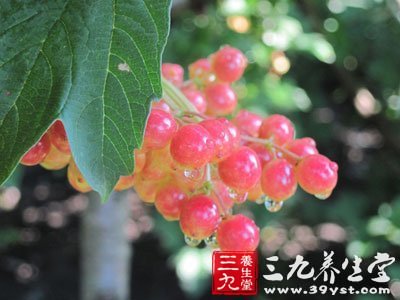 瑜伽饮食多食蔬菜和水果，排出代谢毒素